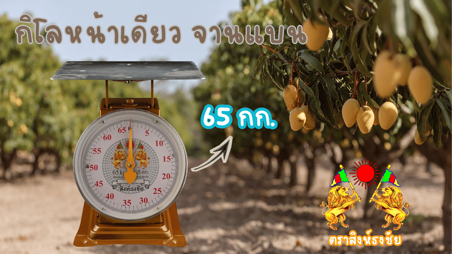 กิโลหน้าเดียว พิกัด 65 กก. ตราสิงห์ธงชัย กิโลคู่ใจที่ชาวสวนทั่วไทยไว้วางใจ